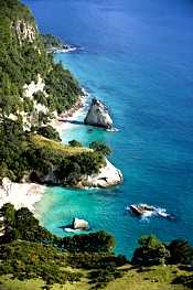 Cathedral Cove Mercury Bay