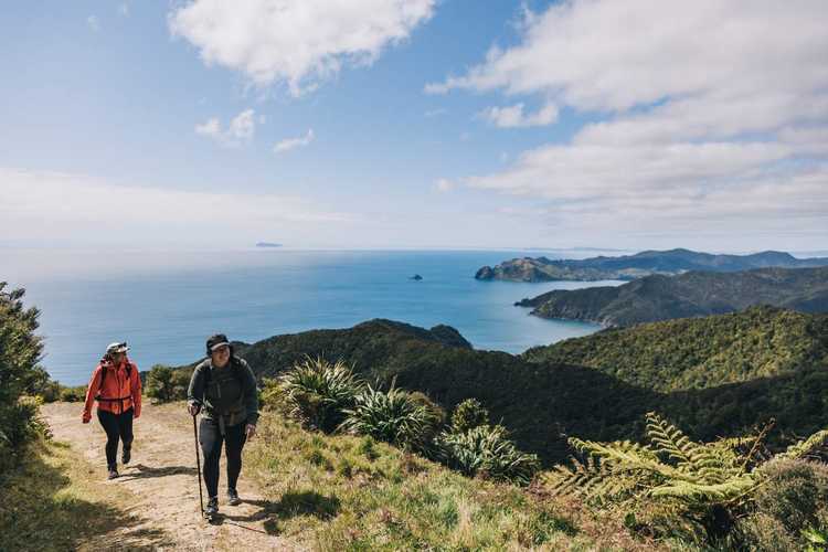 Northern Coromandel