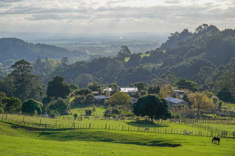 Spring Break in The Coromandel