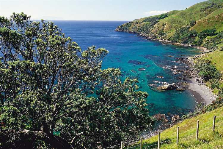 Coastal-Walkway-