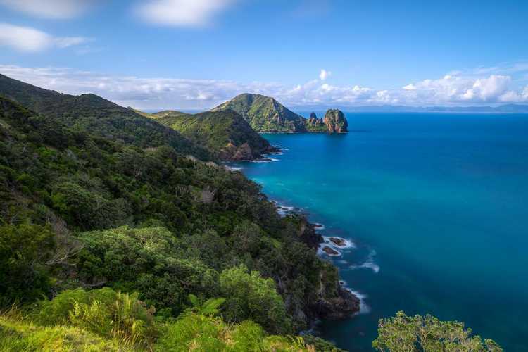 HOME-Coromandel-Coastal-Walkway-The-Coromandel-b