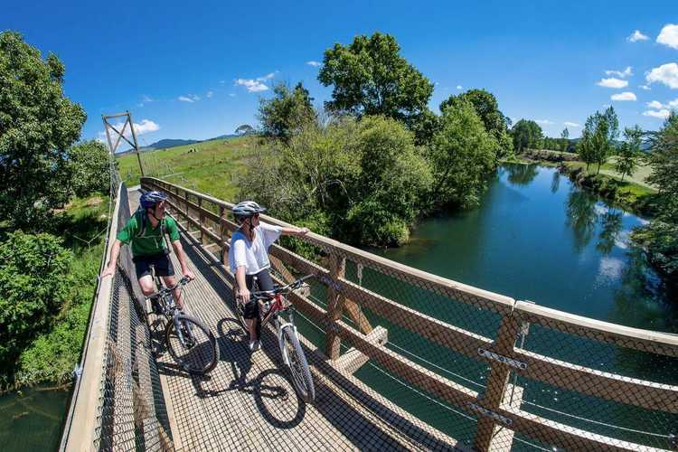 Hauraki-Rail-Trail-bridge