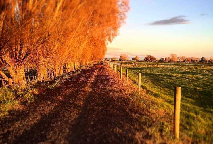 Hauraki Rail Trail, the perfect Autumn ride