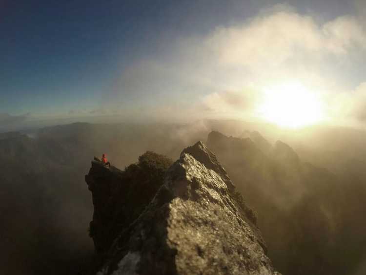 The-Pinnacles-Walk-Coromandel-Forest-Park