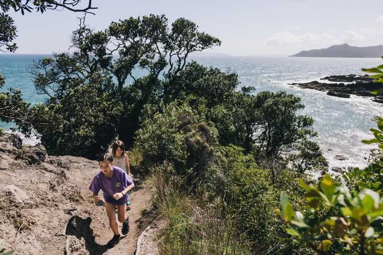 Day walks and overnight hikes in The Coromandel