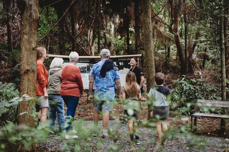 Driving Creek Conservation Park