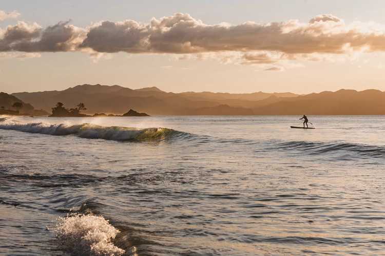 The Role of Destination Hauraki Coromandel