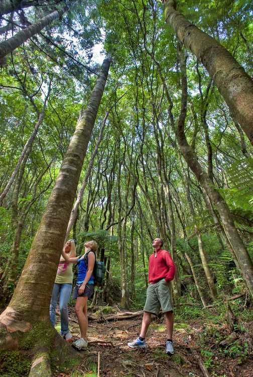 Broken-Hills.-Puketui-Valley.-with-Damion