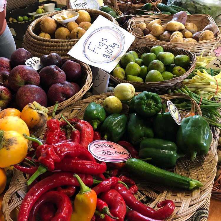 Coroglen-Farmers-Market2