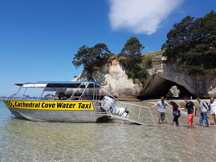 Cathedral Cove Transport 