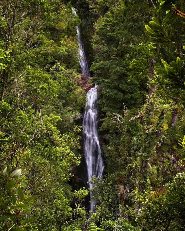 Wentworth-Falls-27012019