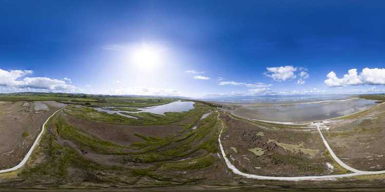 Pano Shorebird Coast Miranda