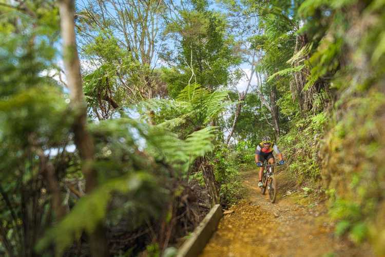 670201 9 whitianga bike park web