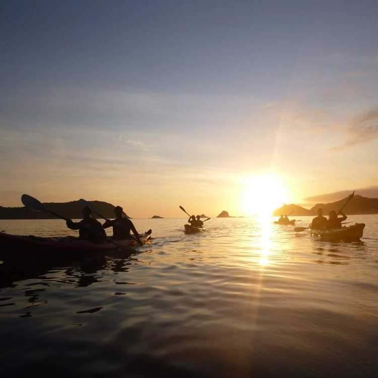 Cathedral Cove Kayaks