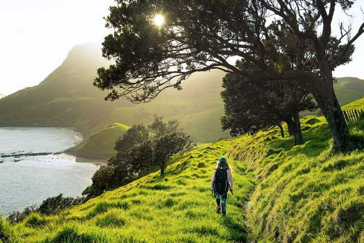 Copyright Daniel Murray Coro Coastal Walkway