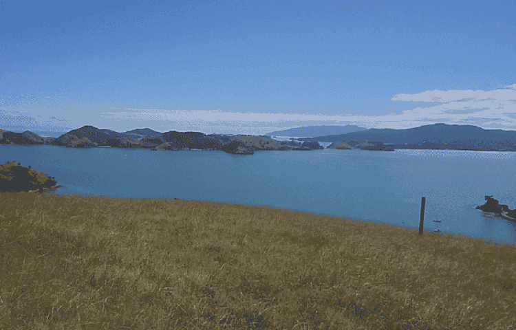 Coromandel Harbour Webcam