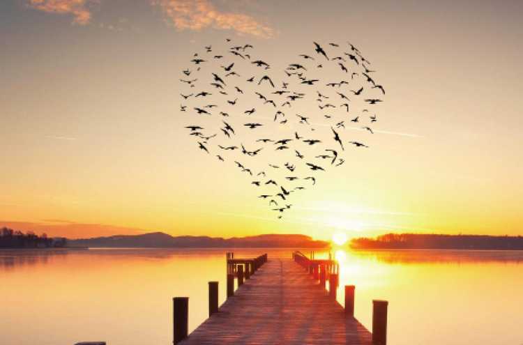 Holistic Health Collective