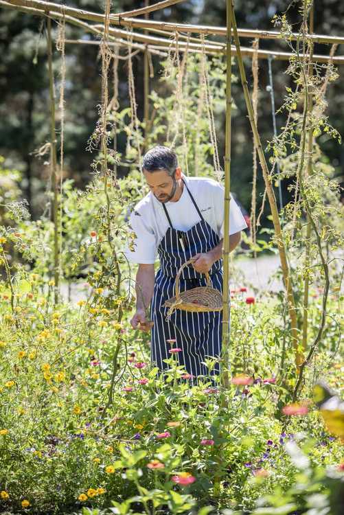 Paddock to Plate Experiences