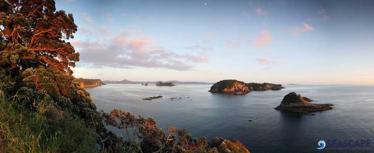 Hahei and Cathedral Cove