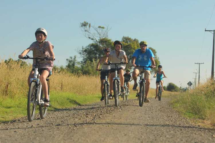 Hauraki Rail Trail biking