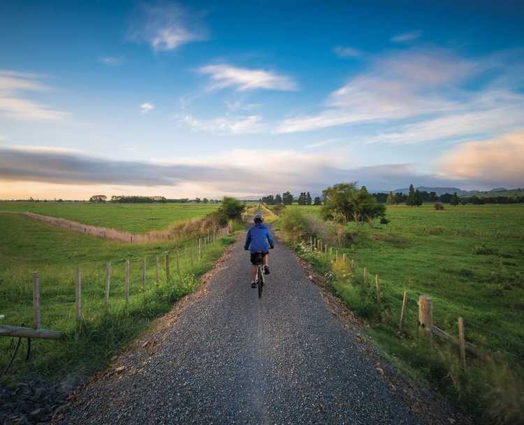 Hauraki Rail Trail15