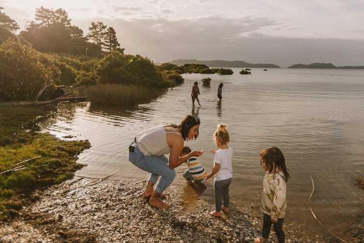 Free in The Coromandel