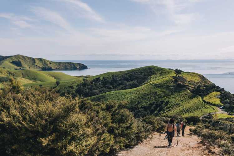 Pahi Coastal Walk 022