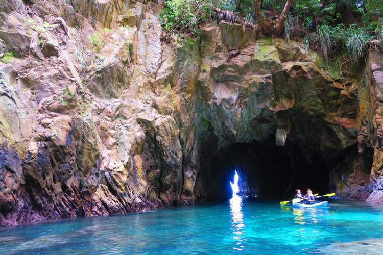 Whenuakura Wildlife Sanctuary Kayak