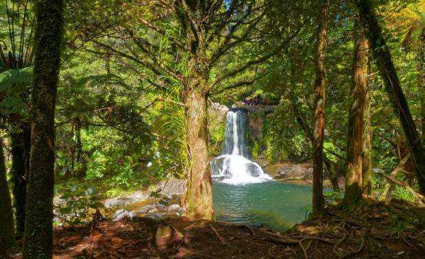 Waiau Falls 309 Road