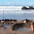  Nigel Carpenter  Hot Water Beach