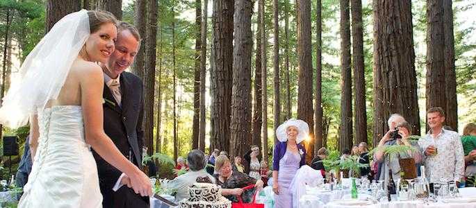 Weddings