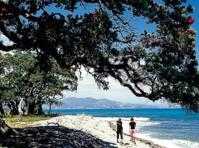© Destination Coromandel