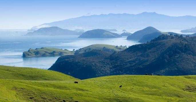 Coromandel Discovery
