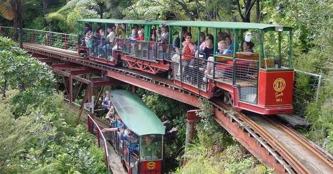 Driving Creek Railway