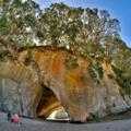 Destination Coromandel