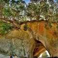 Destination Coromandel