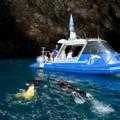 Destination Coromandel