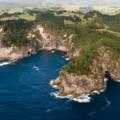 Destination Coromandel