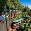 Destination Coromandel