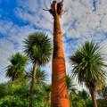 Destination Coromandel