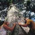 Destination Coromandel