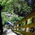 Destination Coromandel