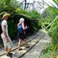Destination Coromandel