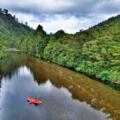 Destination Coromandel