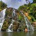 Destination Coromandel