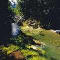 Destination Coromandel