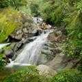 Destination Coromandel