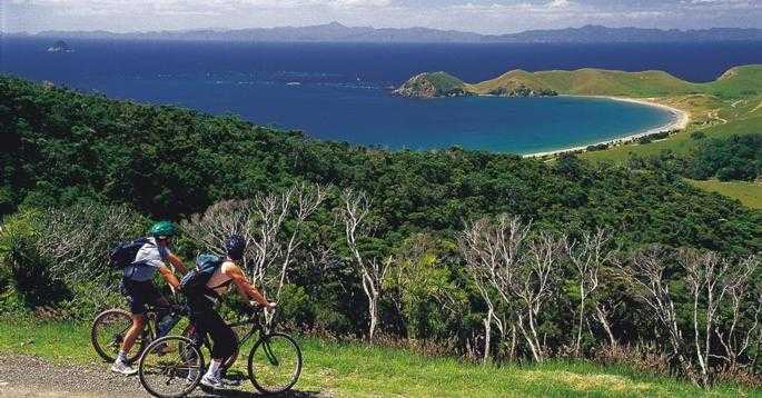 Cycling in Northern Coromandel