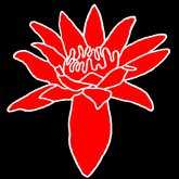 Waihi Waterlily Gardens Logo Waihi Waterlily Gardens Logo