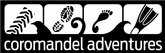 Buses, Shutlles & Tours Coromandel Adventures